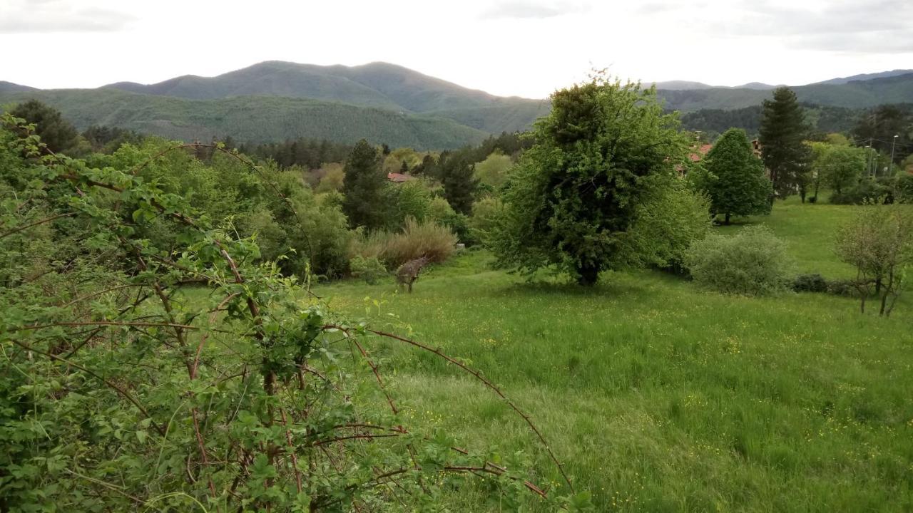 Casa Bartolacci Charme In Bivigliano Eksteriør billede
