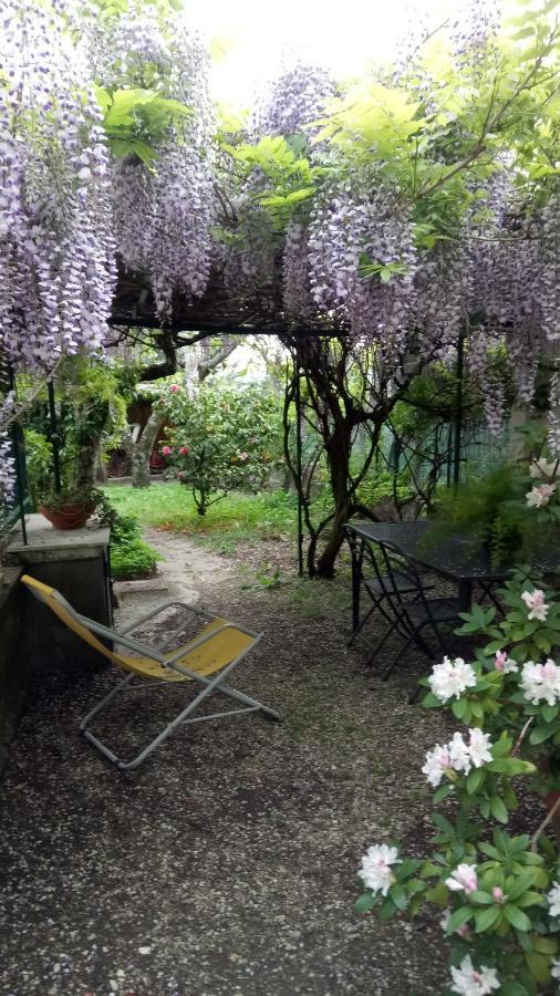 Casa Bartolacci Charme In Bivigliano Eksteriør billede